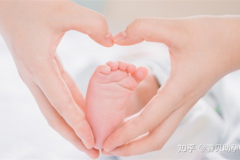 六个月成都捐卵宝宝如何补钙 六个月成都捐