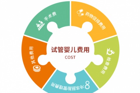 成都捐卵宝宝肚痛，父母该怎么办？